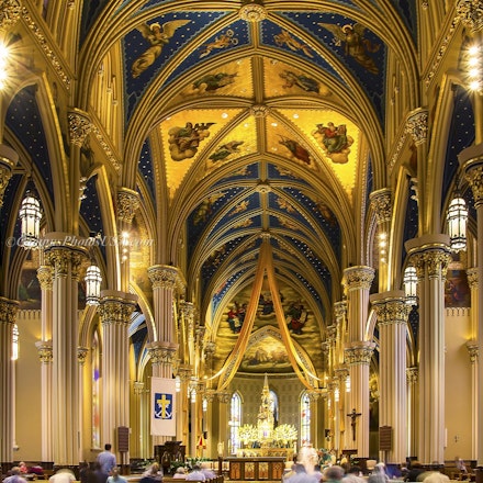 Get Notre Dame University Usa Gif - rammedearthwalls