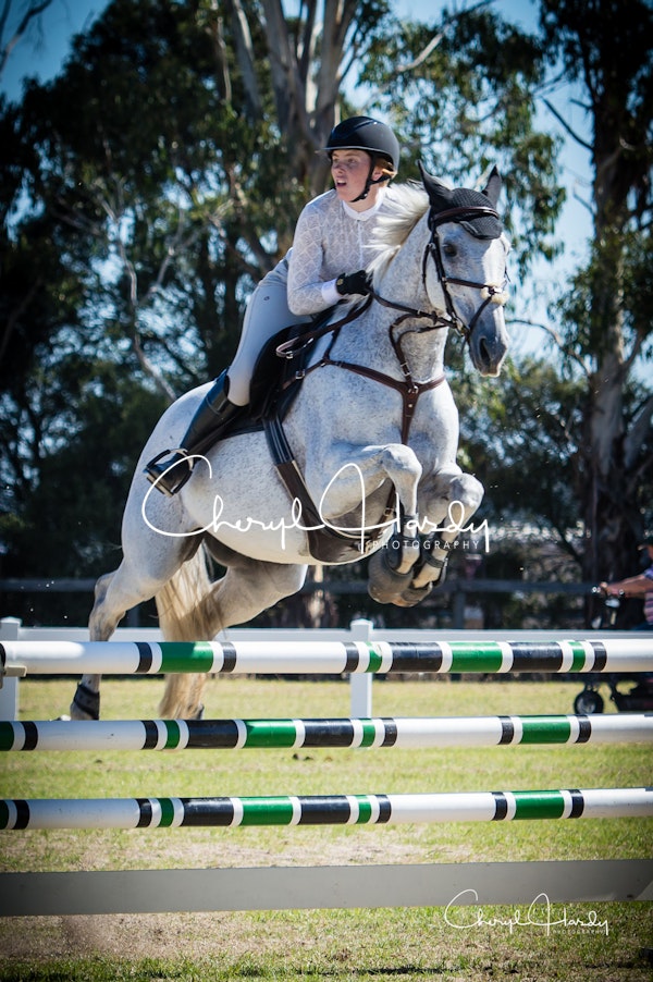 Yarra Valley Jump Club Easter Showjumping 31 March 18 115cm Cheryl Hardy Photography Yarra Valley Jump Club Easter Showjumping 31 March 18 115cm Cheryl Hardy Photography