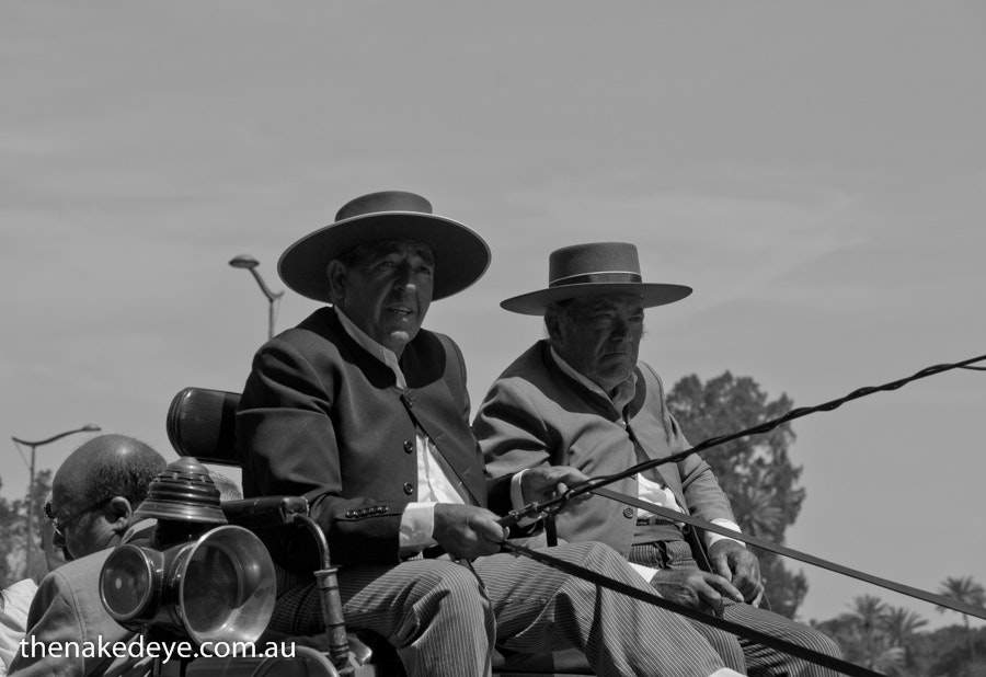 The horsemen of Seville